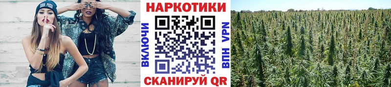 Купить СОЛЬ Марихуана МЕФ Гашиш Шацк