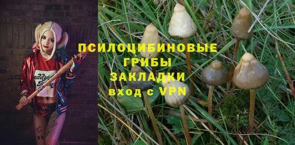 эйфоретик Куйбышев