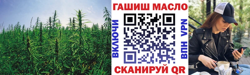 Купить закладки  Шацк  ТГК концентрат 