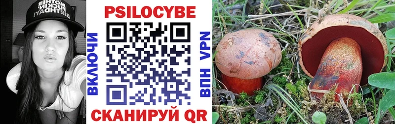 Галлюциногенные грибы прущие грибы  Купить  Шацк 